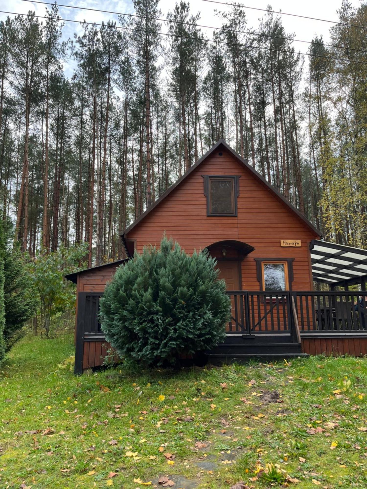 Domek Caloroczny Hawaje Nad Jeziorem Kazub Cieciorka Exterior photo